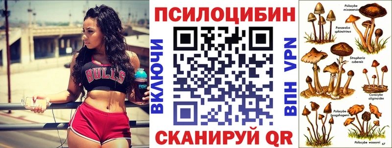Псилоцибиновые грибы прущие грибы  где найти наркотики  kraken сайт  Домодедово 